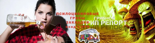 гидра Баксан