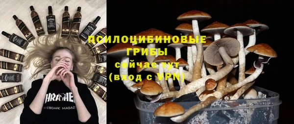 гидра Баксан