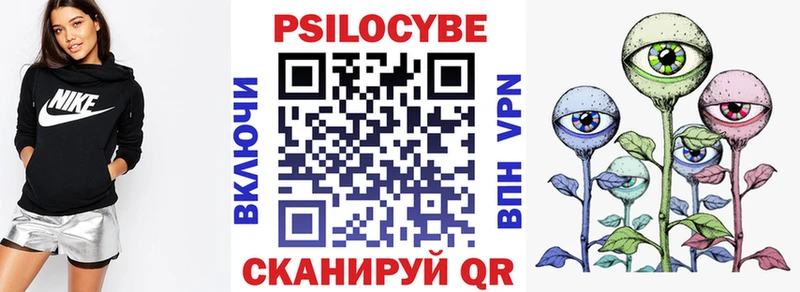 купить наркоту  Лебедянь  сайты даркнета состав  Галлюциногенные грибы мицелий 